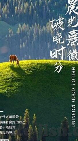 足球时时比分网-探秘足球时时比分网，球迷的掌中宝与赛事的实时脉搏